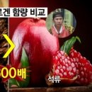 산약초 생활건강 이미지