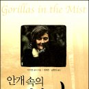 고릴라1978 - 화성시 남양시장로 79 | 고릴라1978