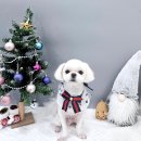 까망미용실 이미지