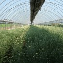 마송농장 이미지