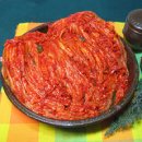 (주)태백골 | 김장배추 맛있는김치 태백골엄마김치
