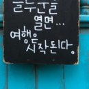 앤조이터키 이미지