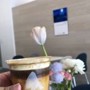 블루샥거제장평점