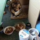 엠오바이오 이미지