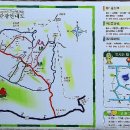 1,122차 8월23일 청주화요성안산악회 전북 순창 용추봉 가마골 산행 예약자 명단 이미지