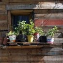 업동이네 이미지