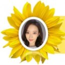 키친보리에대도식당