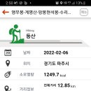앵무봉 이미지
