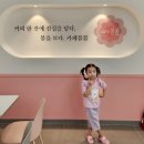 2023년 8월의 소소한 기억들