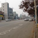 당구치자 이미지