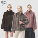 엘페로3 이미지