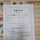 김인천동물병원 이미지