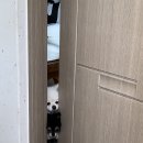 가평한옥애견펜션 이미지