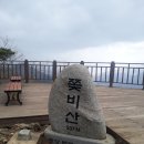 숲향여행사