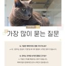 영등포동물병원 이미지