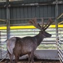 호동이농장 이미지