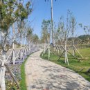 에로스파크 이미지