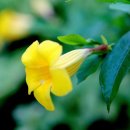 성호기념관 이미지