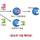 氣血循環의 原理 14 이미지