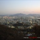 레드페이스안산