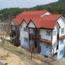 사사학교 이미지