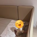 비아고등학교 | 핫한 베스트슬립 유아용 데이베드 제롬가드로 선택한 이유 #내돈내산 #가죽소재 #엘라비아S6 #환상의조합