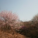 H9163 이미지