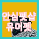 유어펫그루밍 이미지