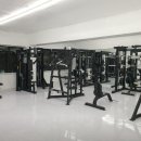 비디피트 이미지