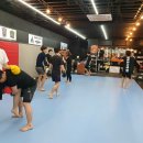 몬스터MMA 이미지