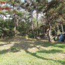 내서읍126 이미지