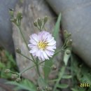 중소기업연수원 이미지