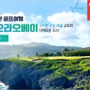 알파골프 이미지