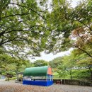 프랑모텔 | [114번째]경주 편안캠핑장 편안존8번