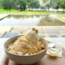 이숲 - 괴산군 읍내로15길 3-4 | 천안 성거 대형카페 초록정원이 예쁜 카페 이숲 인절미빙수 후기