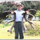 영일사슴 이미지