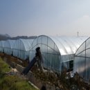 오가면010 이미지