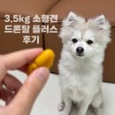 수호약국 | 강아지 내부기생충약 복용 후기｜드론탈플러스 + 기생충 예방약 비교 정리