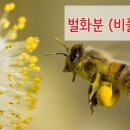 에스지상사