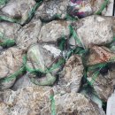 선단체육문화센터 이미지