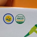 터미닉스광주지사