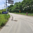 남천안IC(조치원) 이미지