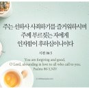 선하사 이미지