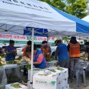 서경애농장 이미지