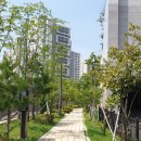 창현유치원(공립) 이미지