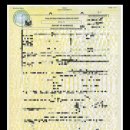 영한 행정사 사무소 이미지