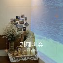비쥬24카페