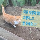 청계사 경내 | 청계산 이수봉, 망경대 등반 시원한 계곡과 함께한 힐링 산행 후기