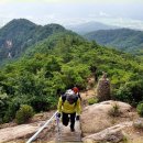 제119회 8월정기산행 (곡성) 동악산 청류동계곡 이미지