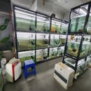 아쿠아수족관 이미지